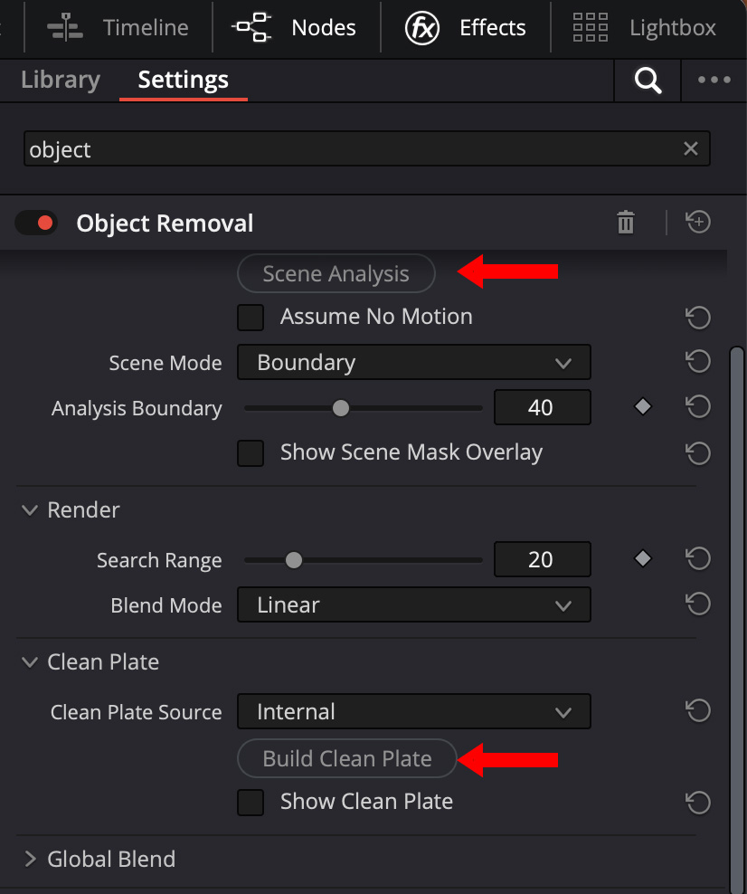 Resolve Object Removal controls including Scene Analysis, Search Range, and Build Clean Plate.